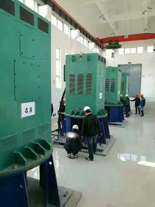 峪泉镇某污水处理厂使用我厂的立式高压电机安装现场